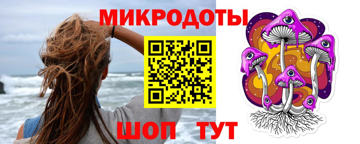 Псилоцибиновые грибы прущие грибы Брянск