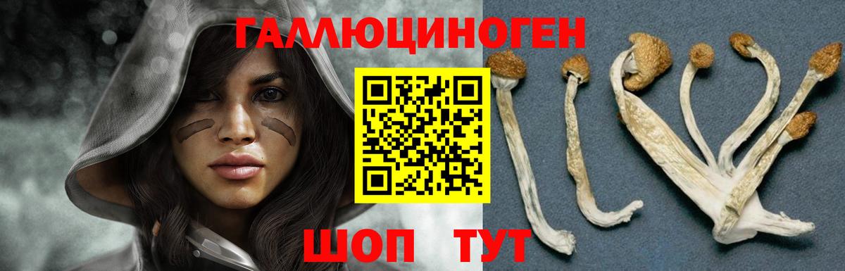 Псилоцибиновые грибы GOLDEN TEACHER  наркошоп  Брянск  Вход с VPN 
