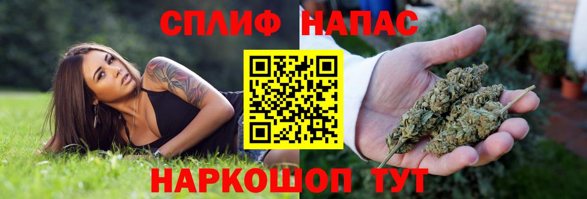 Конопля ГИДРОПОН  Канабис индика  Канабис марихуана  Вход с VPN  Брянск 